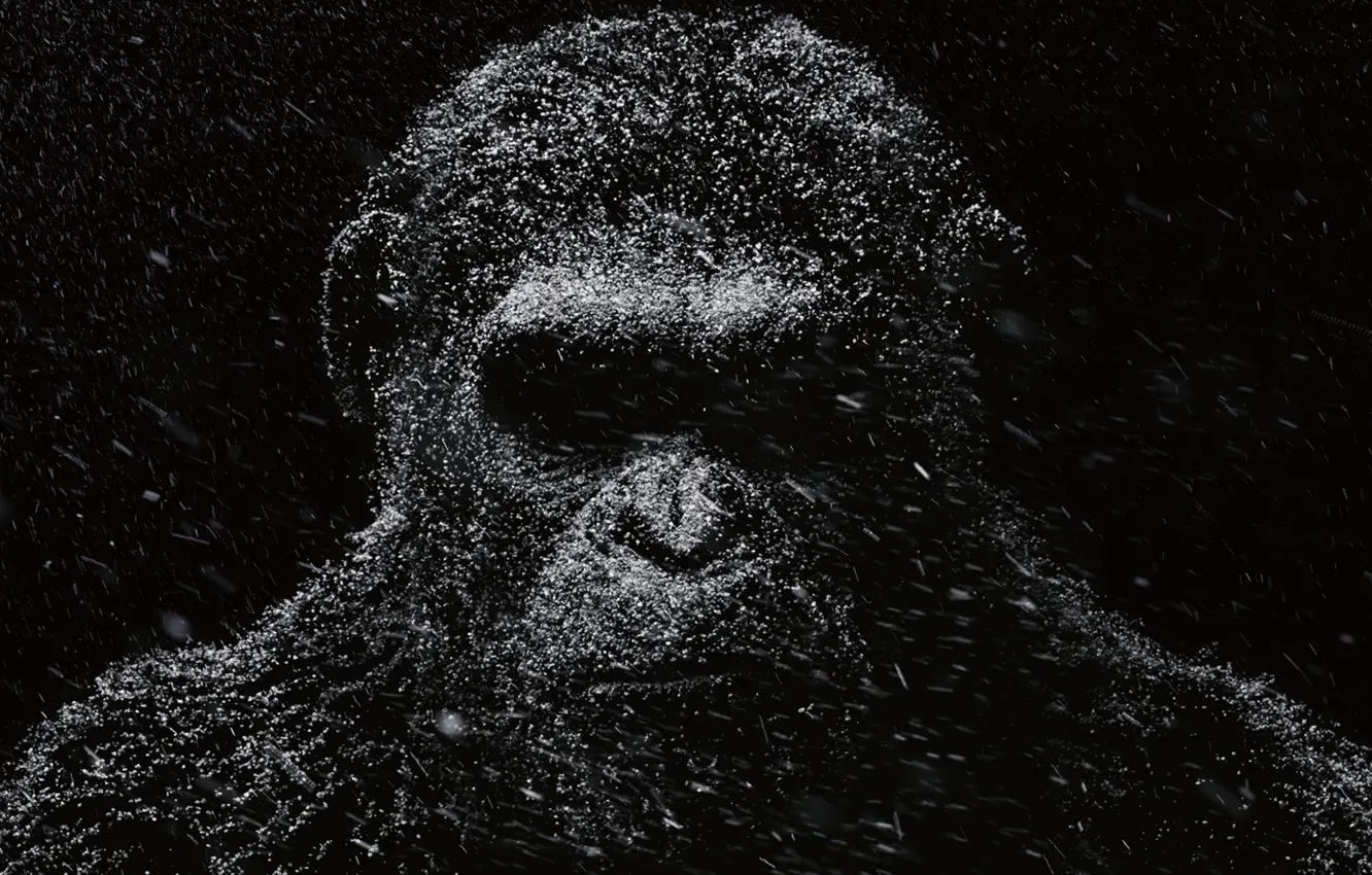 Photo wallpaper Caesar, Movie, Planet of the apes: the Revolution, Dawn of the Planet of the Apes