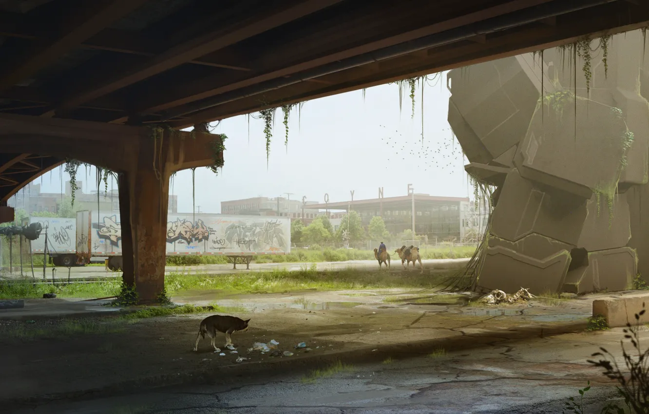 Photo wallpaper dog, camel, desolation, Deserted, babylon-2