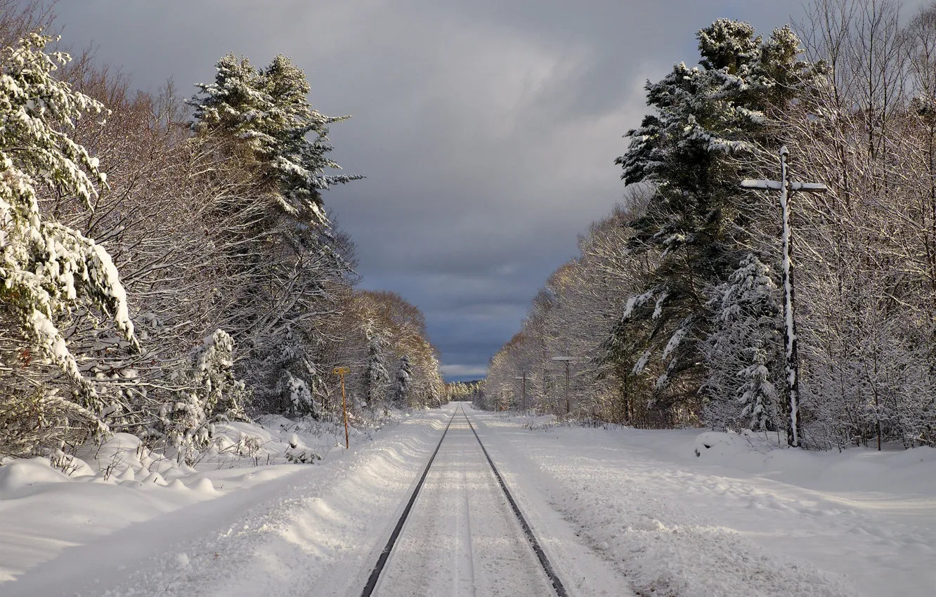 Photo wallpaper winter, road, snow, nature