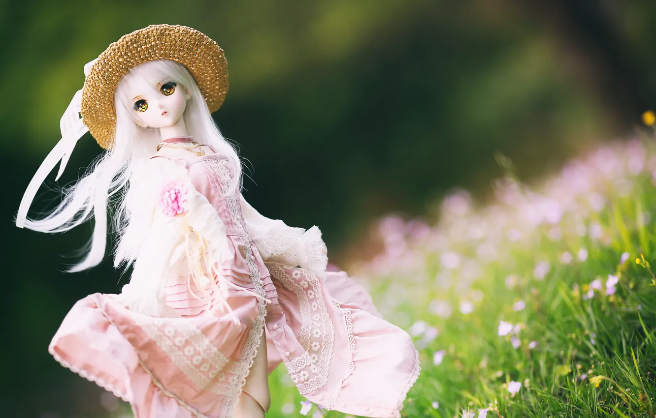 Photo wallpaper toy, hat, doll, dress