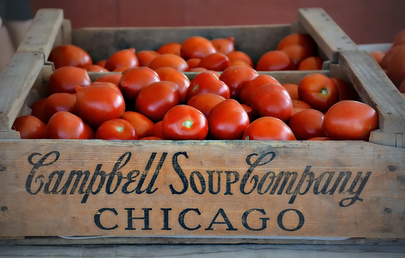 Photo wallpaper box, vegetables, tomatoes