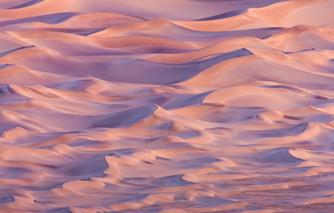 Photo wallpaper desert, sand, Sahara