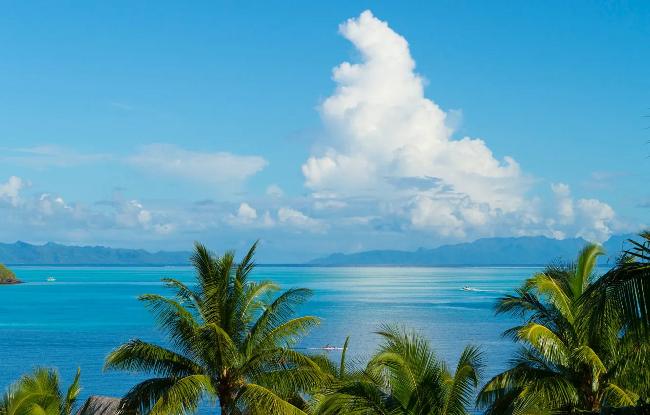 Photo wallpaper sea, clouds, mountains, palm trees, The Pacific ocean, French Polynesia, the island of Tahiti