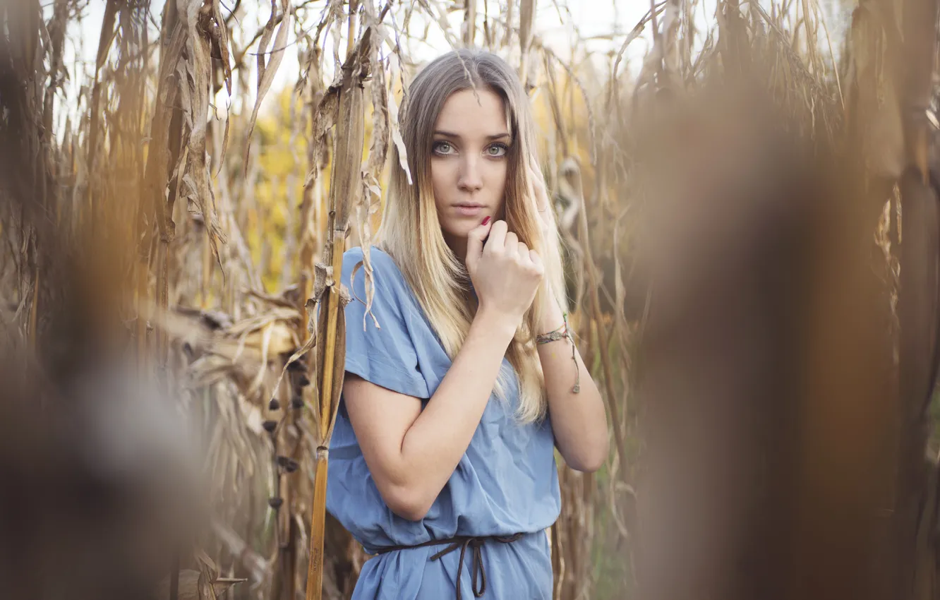 Photo wallpaper look, girl, blonde