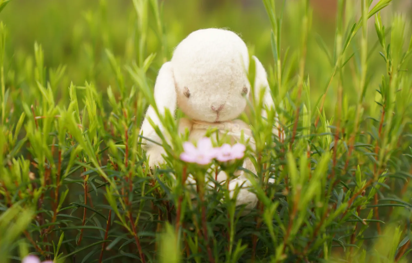 Photo wallpaper grass, mood, toy, rabbit, Bunny