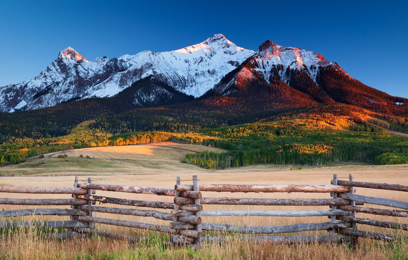 Photo wallpaper field, autumn, forest, grass, snow, mountains, blue, hills