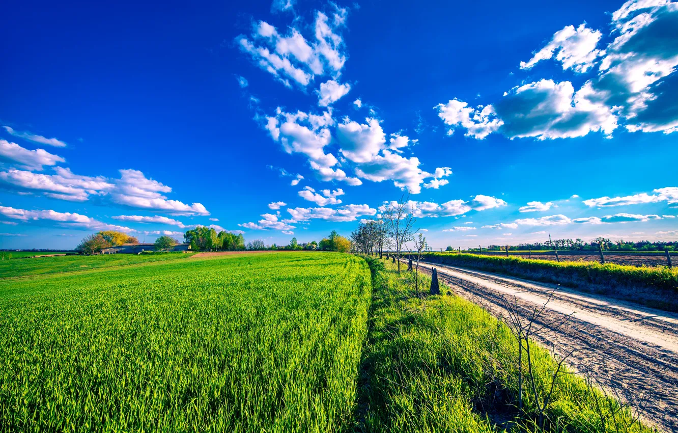 Photo wallpaper road, greens, the sky, the sun, clouds, field