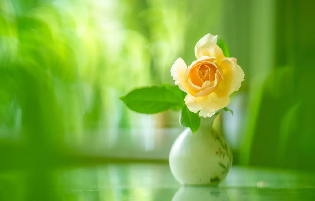 Photo wallpaper yellow, roses, blur, vase