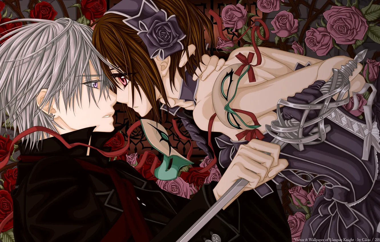 Photo wallpaper roses, sword, mask, Vampire Knight, zero