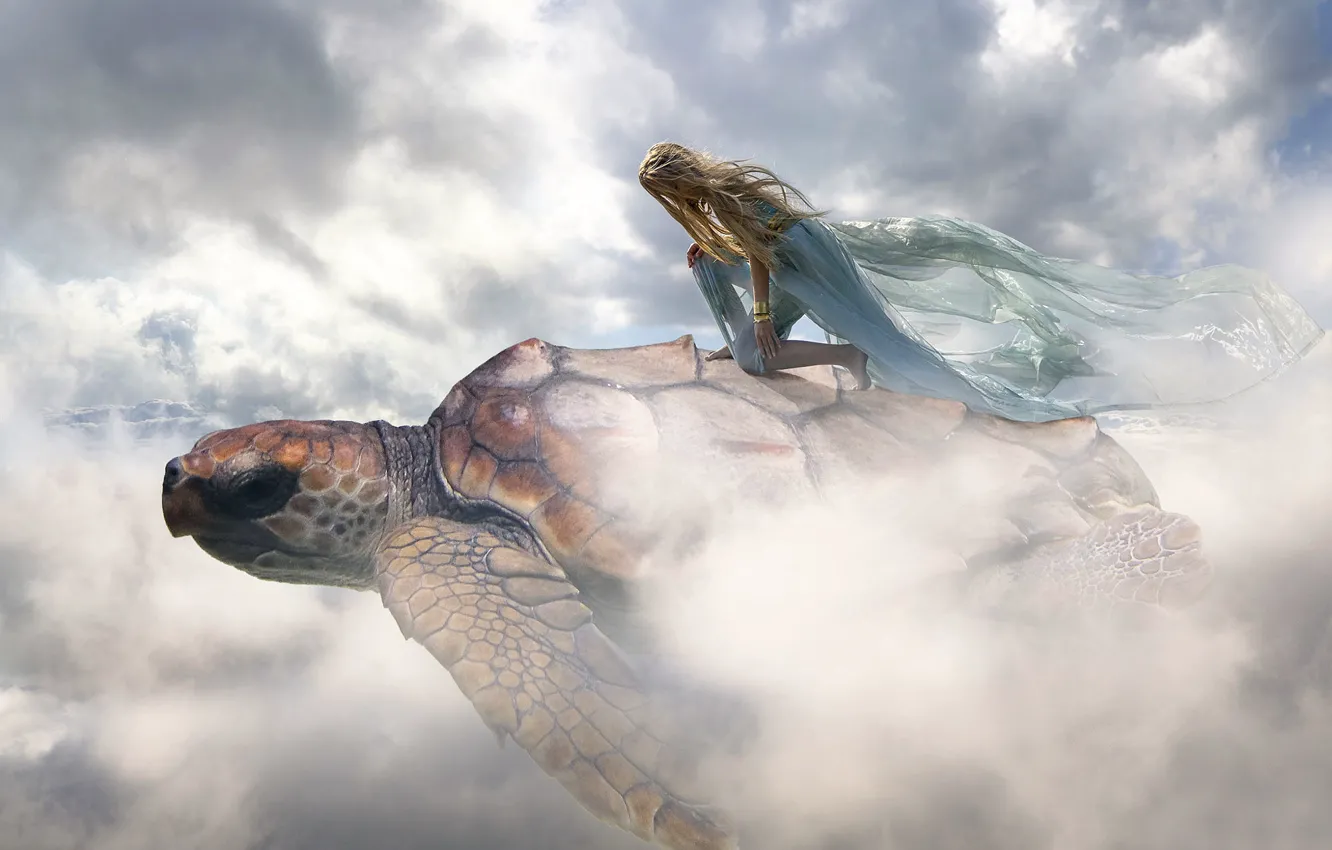 Photo wallpaper girl, clouds, turtle