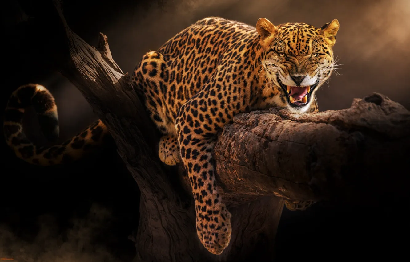 Photo wallpaper trees, spot, leopard, fangs, grin, Jaguar, trunk, color