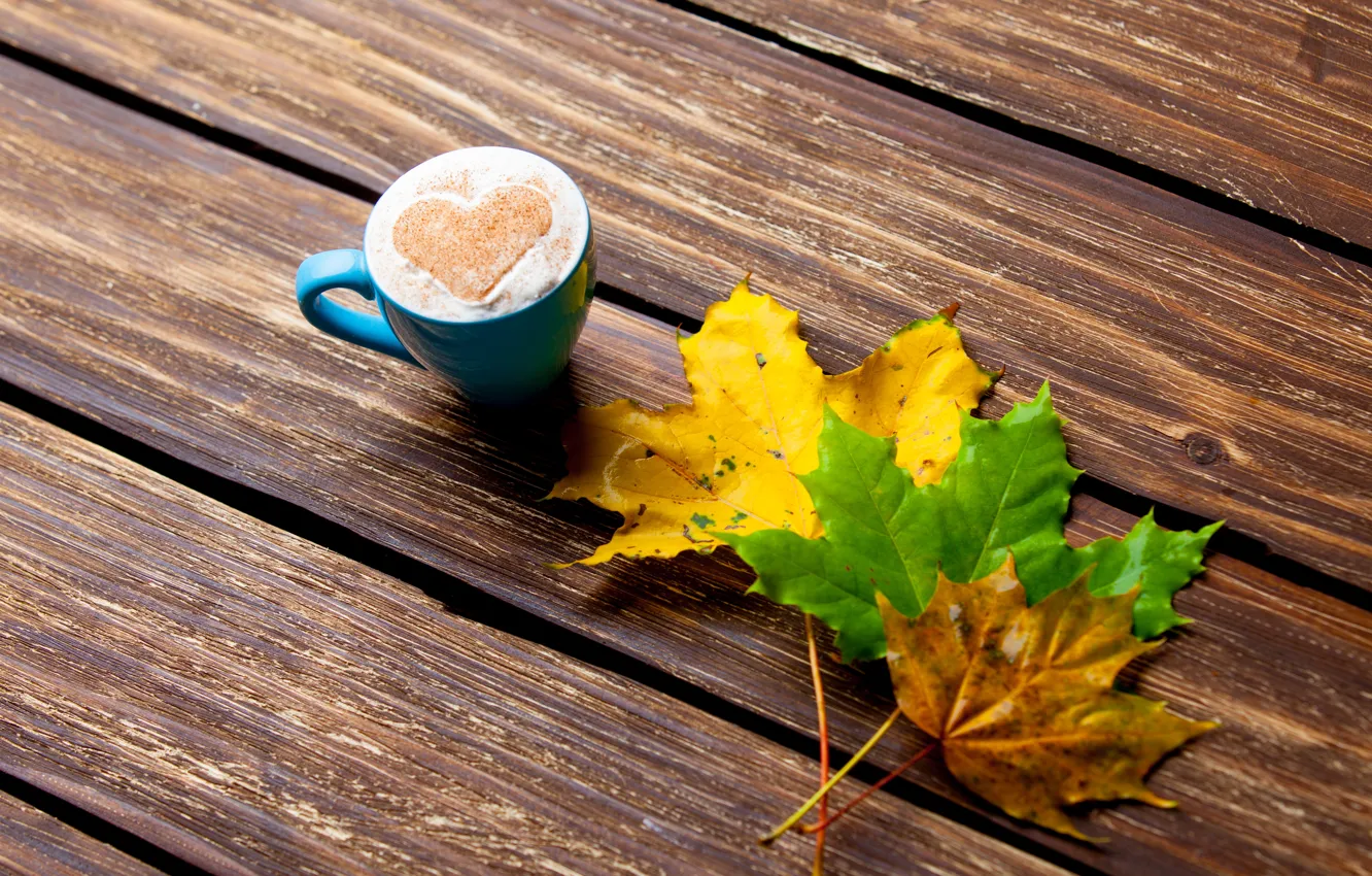 Photo wallpaper leaves, heart, colorful, heart, wood, autumn, leaves, cup