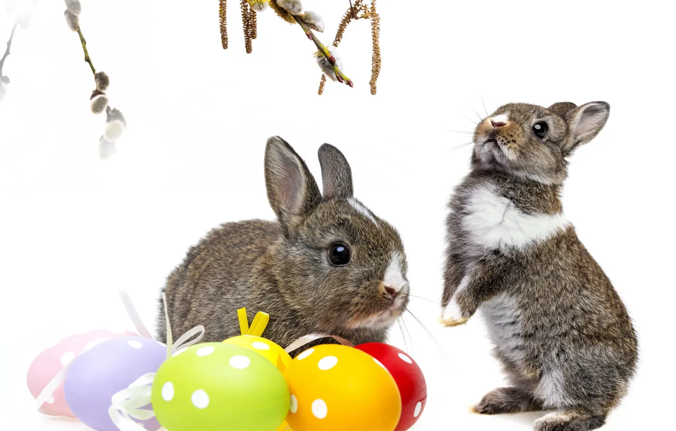 Photo wallpaper branches, eggs, rabbit, Easter, Verba