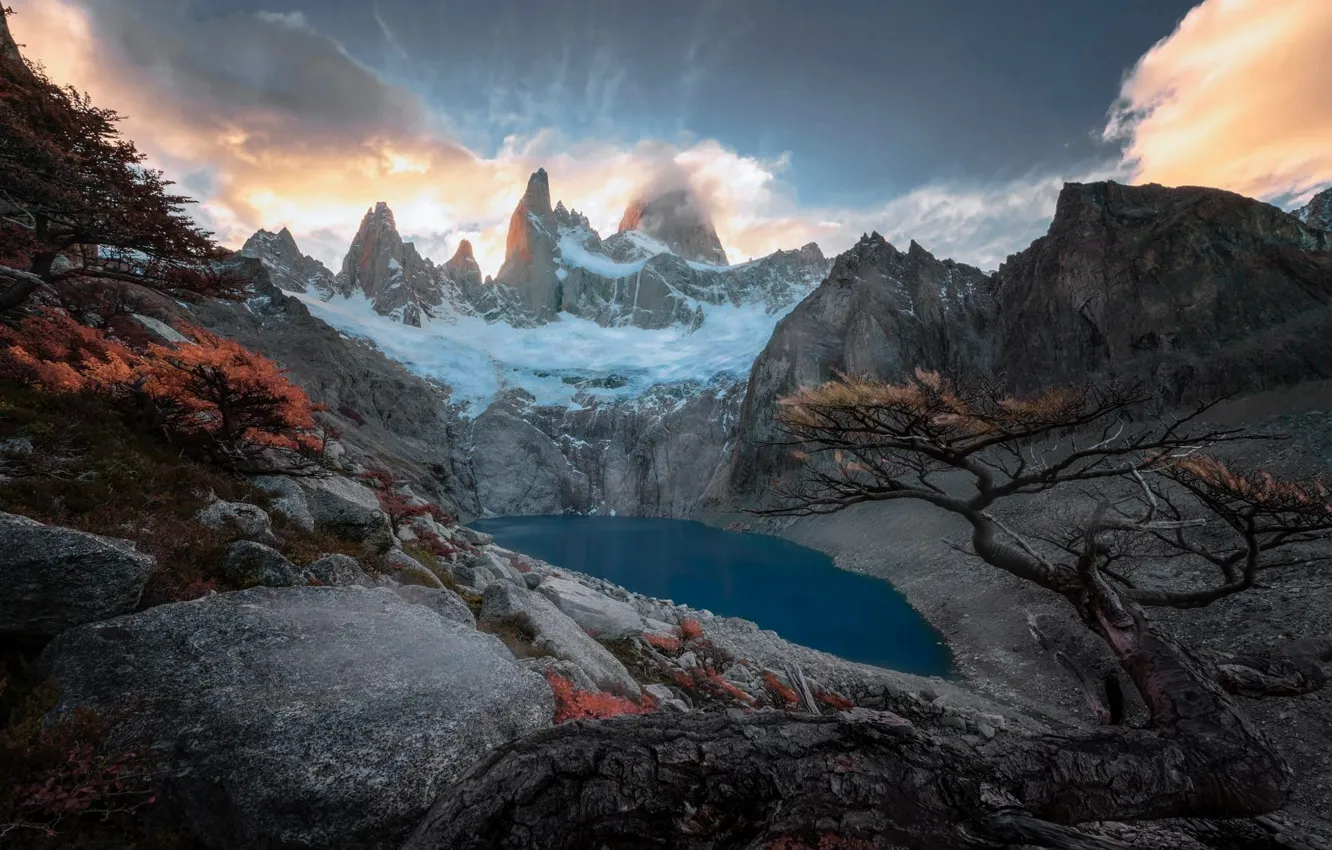 Photo wallpaper trees, mountains, rocks, Andes, Patagonia