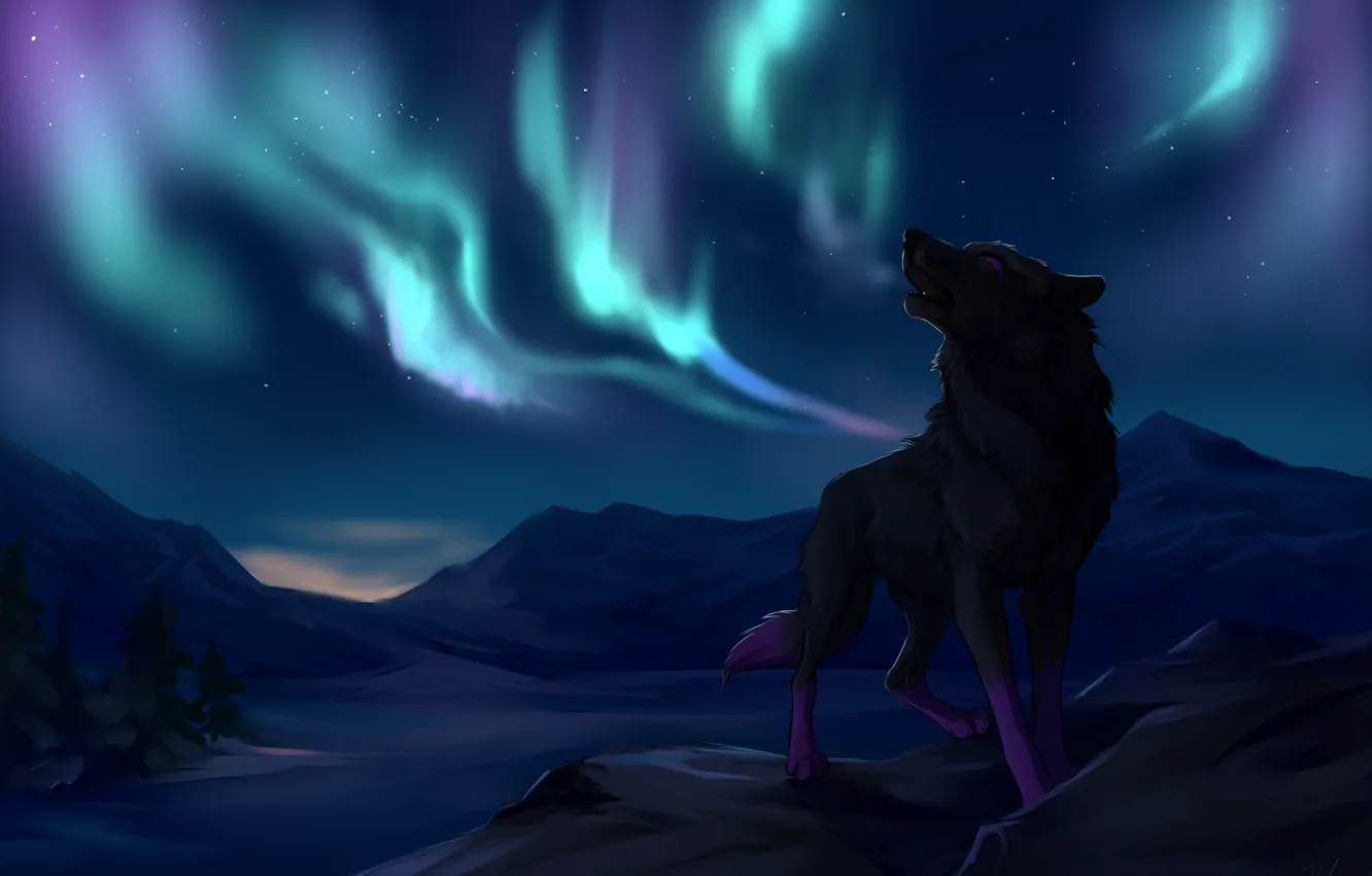 Photo wallpaper trees, mountains, wolf, stars, Northern lights