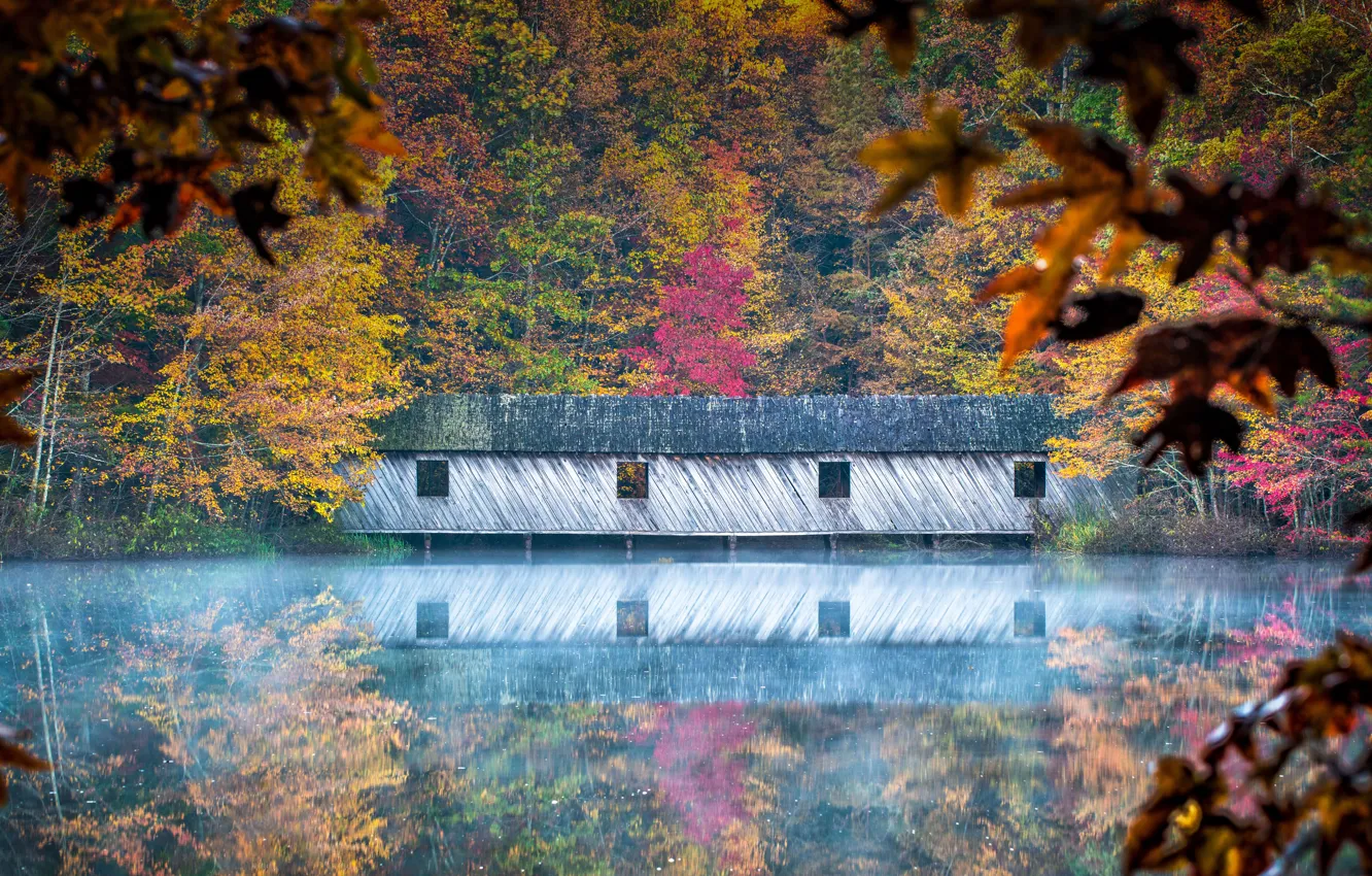 Photo wallpaper autumn, USA, Alabama, Cambron Covered Bridge, Green Mountain Park