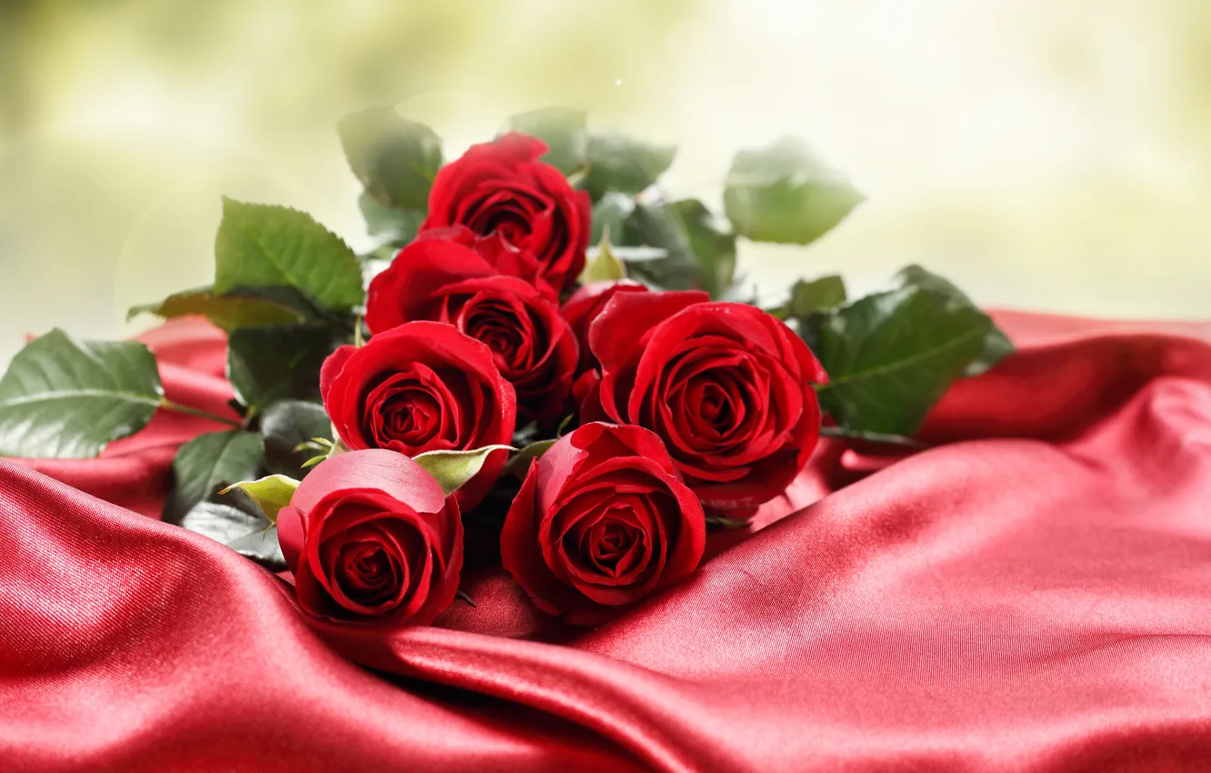 Photo wallpaper flowers, background, foliage, roses, bouquet, buds, Atlas