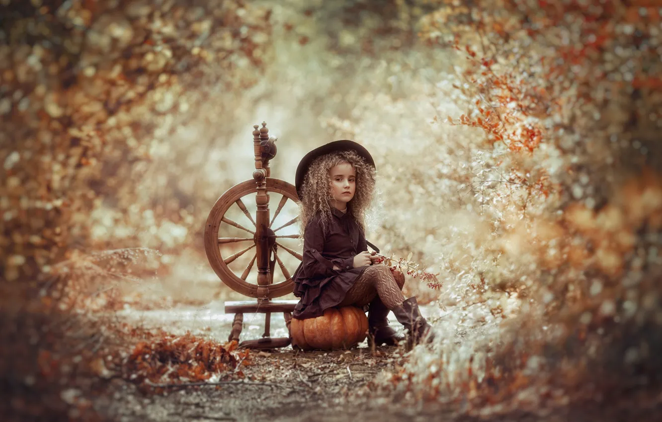 Photo wallpaper autumn, foliage, girl, pumpkin, Halloween, bokeh, the spindle, little witch