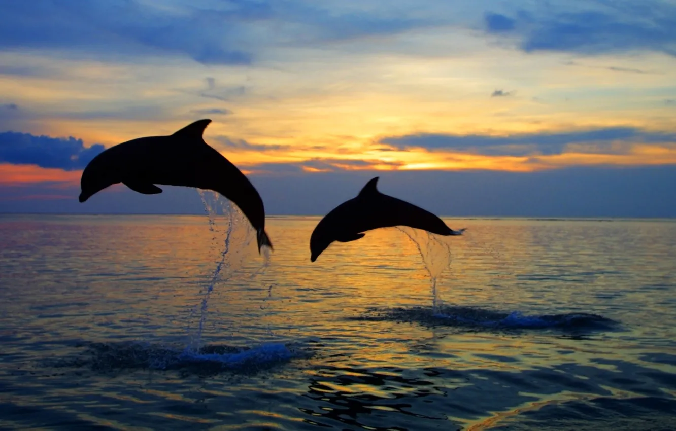 Photo wallpaper sea, the sky, water, sunset, squirt, nature, jump, the evening