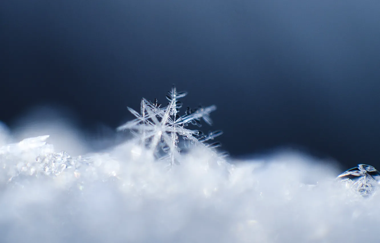 Photo wallpaper crystal, macro, snow, pattern, snowflake