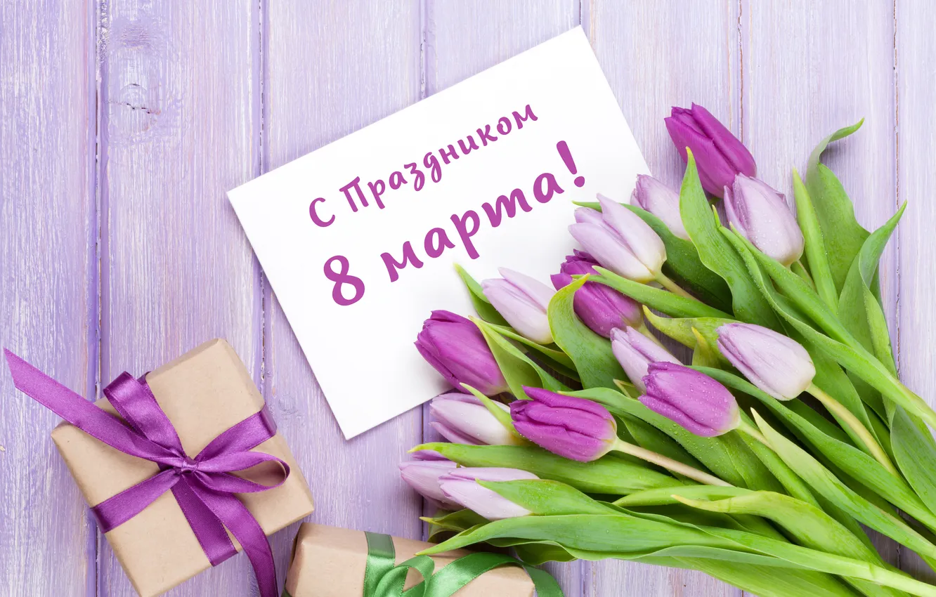 Photo wallpaper flowers, bouquet, tulips, March 8, flowers, tulips, spring, purple