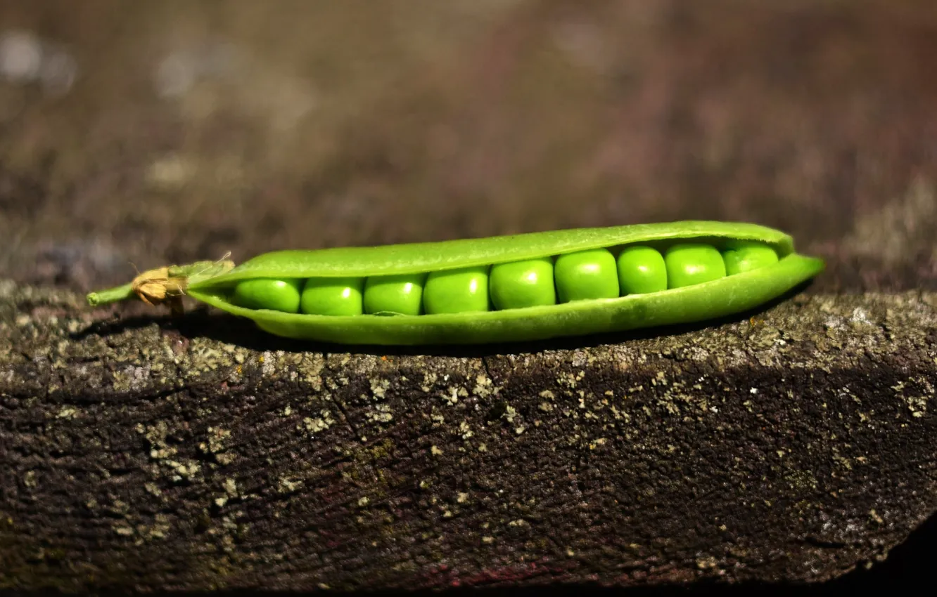 Photo wallpaper macro, green, peas, pods