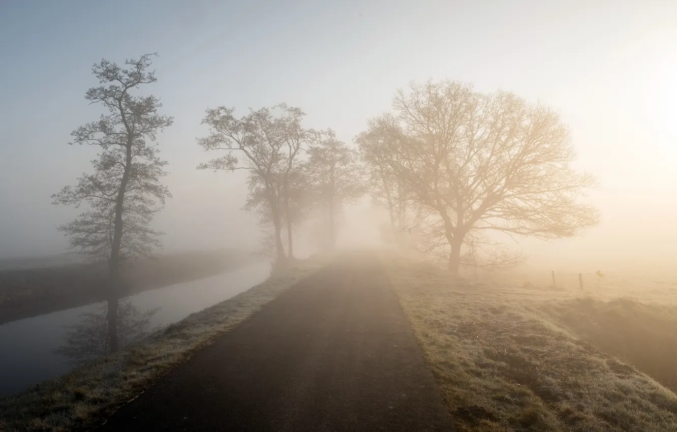 Photo wallpaper road, fog, morning