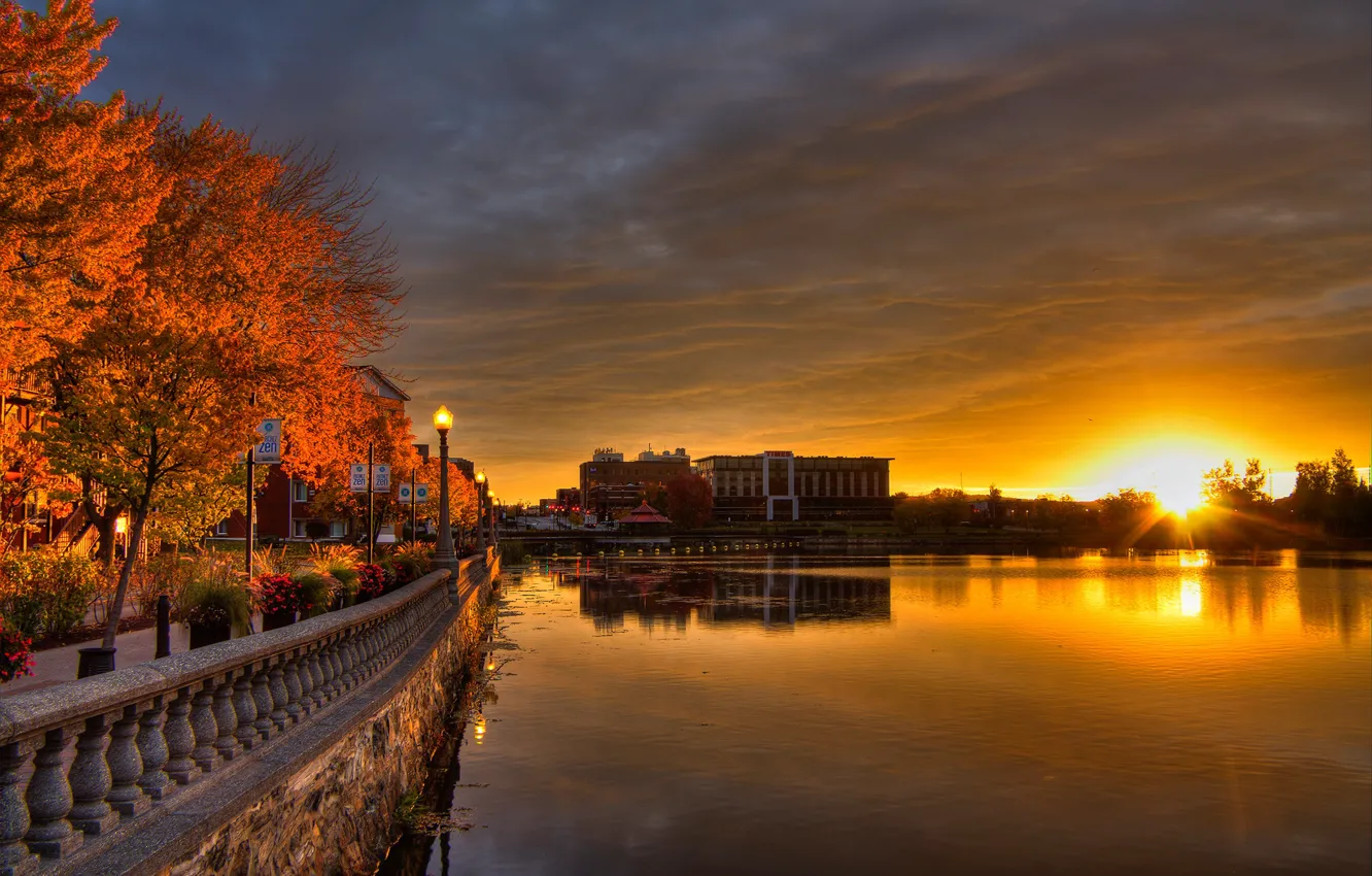 Photo wallpaper autumn, the sky, the sun, trees, flowers, lights, river, dawn