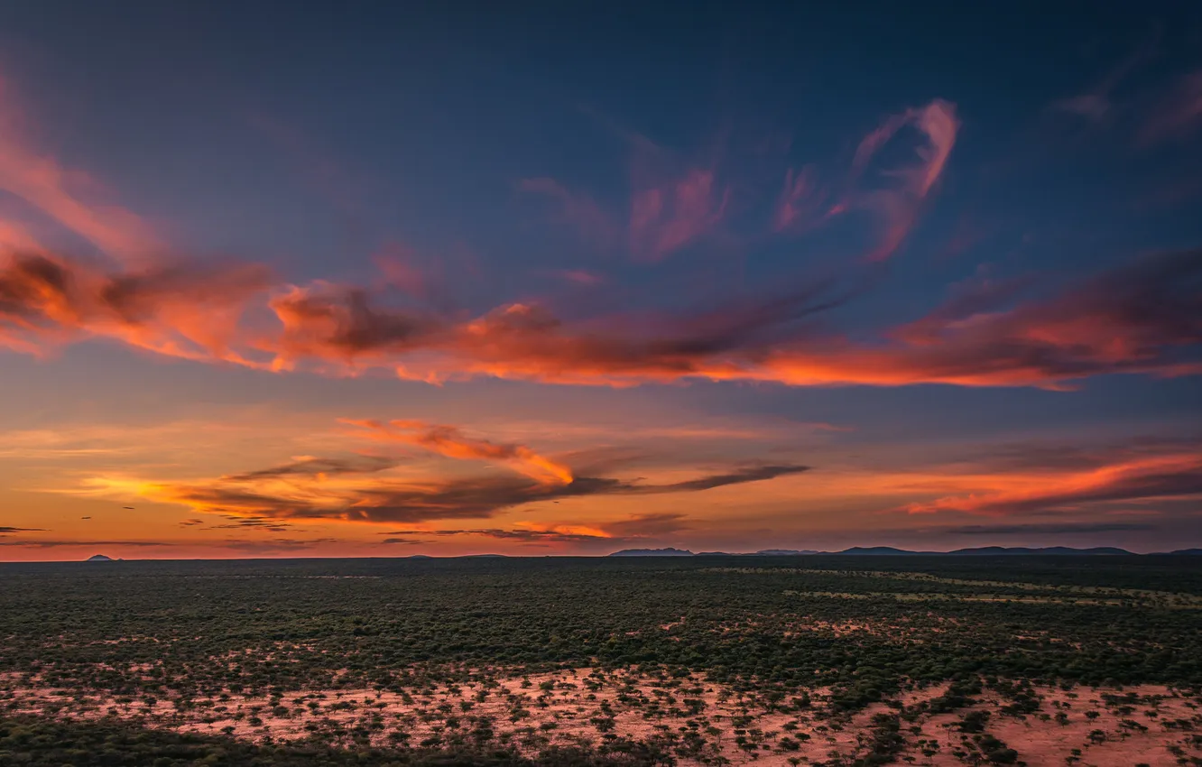Photo wallpaper forest, the sky, clouds, trees, sunset, blue, dal, plain
