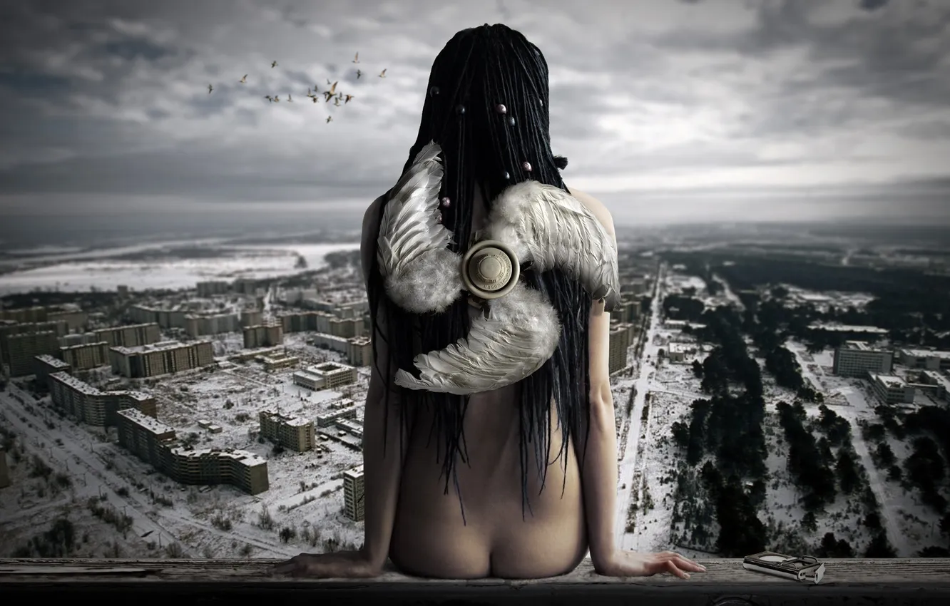 Photo wallpaper cold, winter, snow, the city, bird, back, view, player