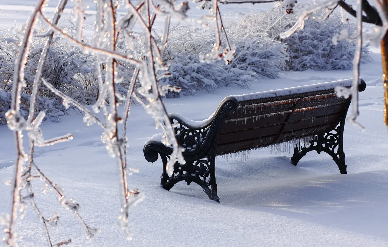 Photo wallpaper winter, snow, bench