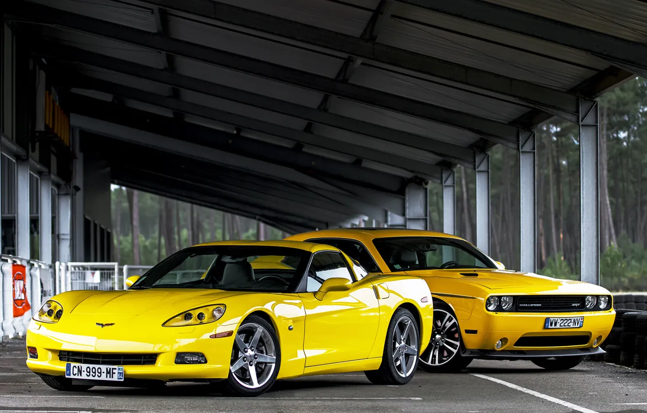 Photo wallpaper trees, yellow, Corvette, Chevrolet, Dodge, canopy, SRT8, Challenger