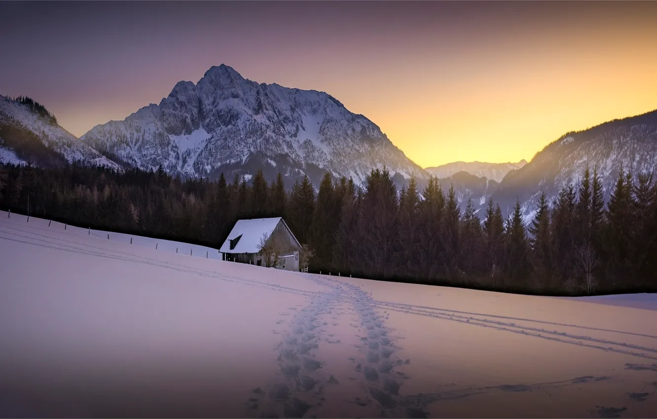 Photo wallpaper winter, forest, the sky, light, snow, sunset, mountains, traces