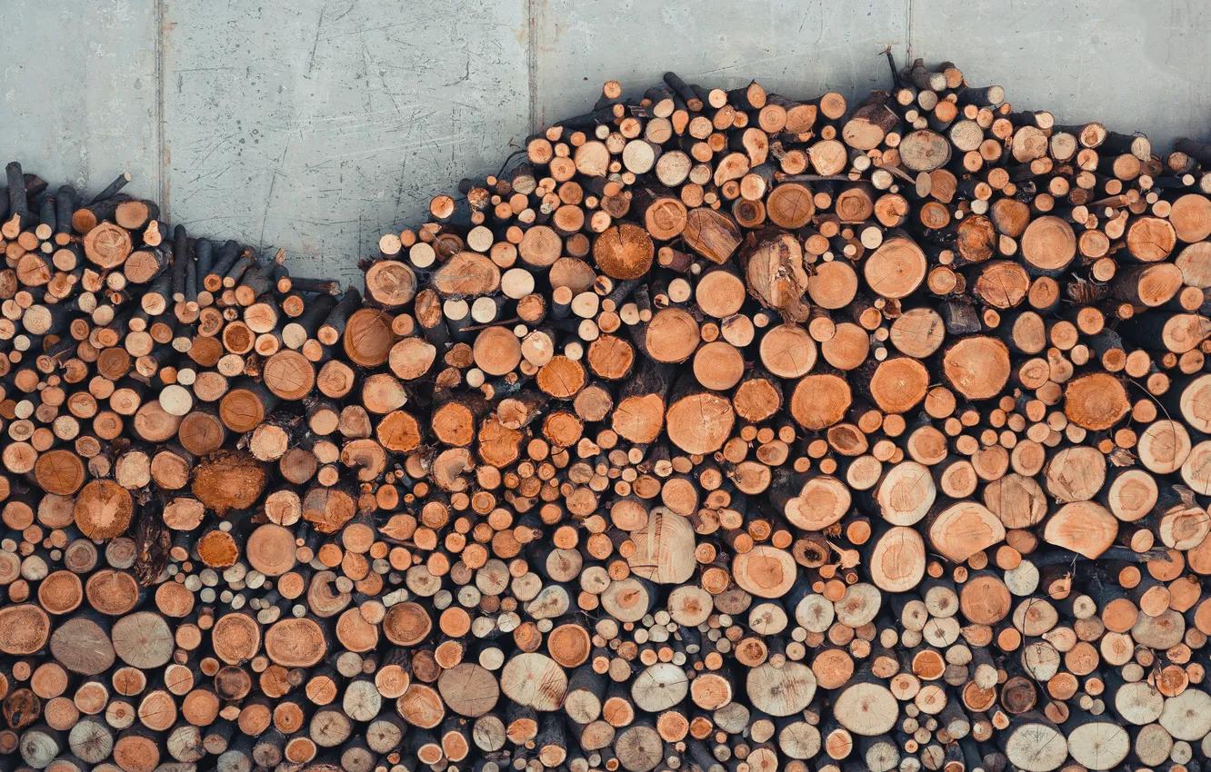 Photo wallpaper wood, firewood, Pile