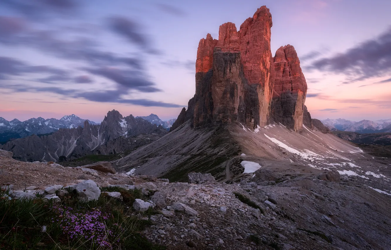 Photo wallpaper flowers, mountains, stones, rocks, height, the evening, The Dolomites