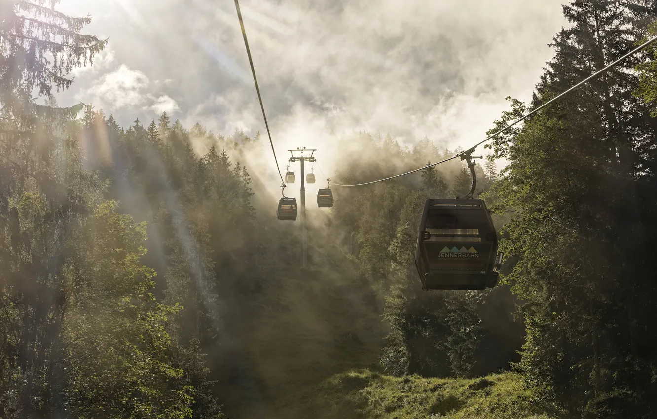 Photo wallpaper forest, nature, cable car