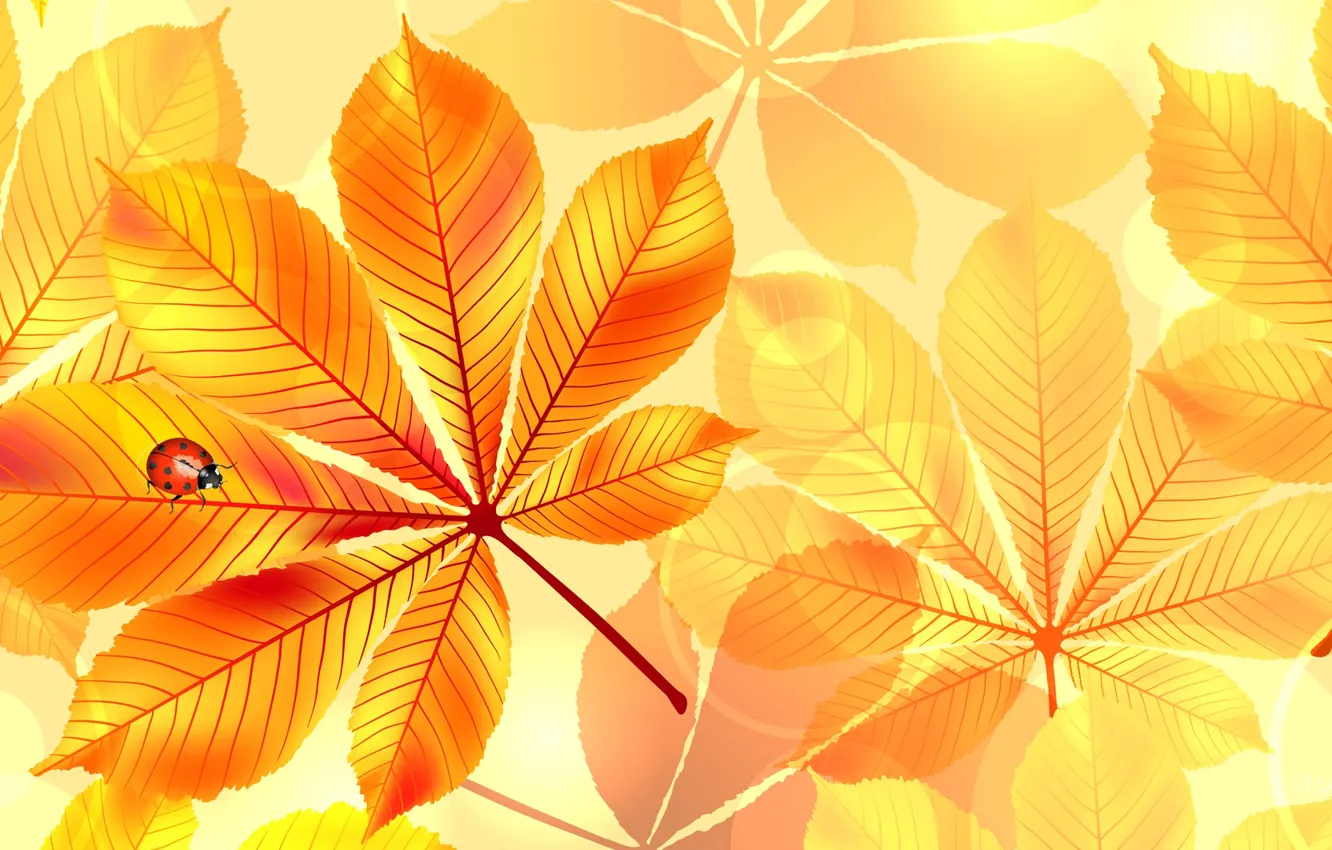 Photo wallpaper autumn, leaves, nature, collage, ladybug, insect, chestnuts