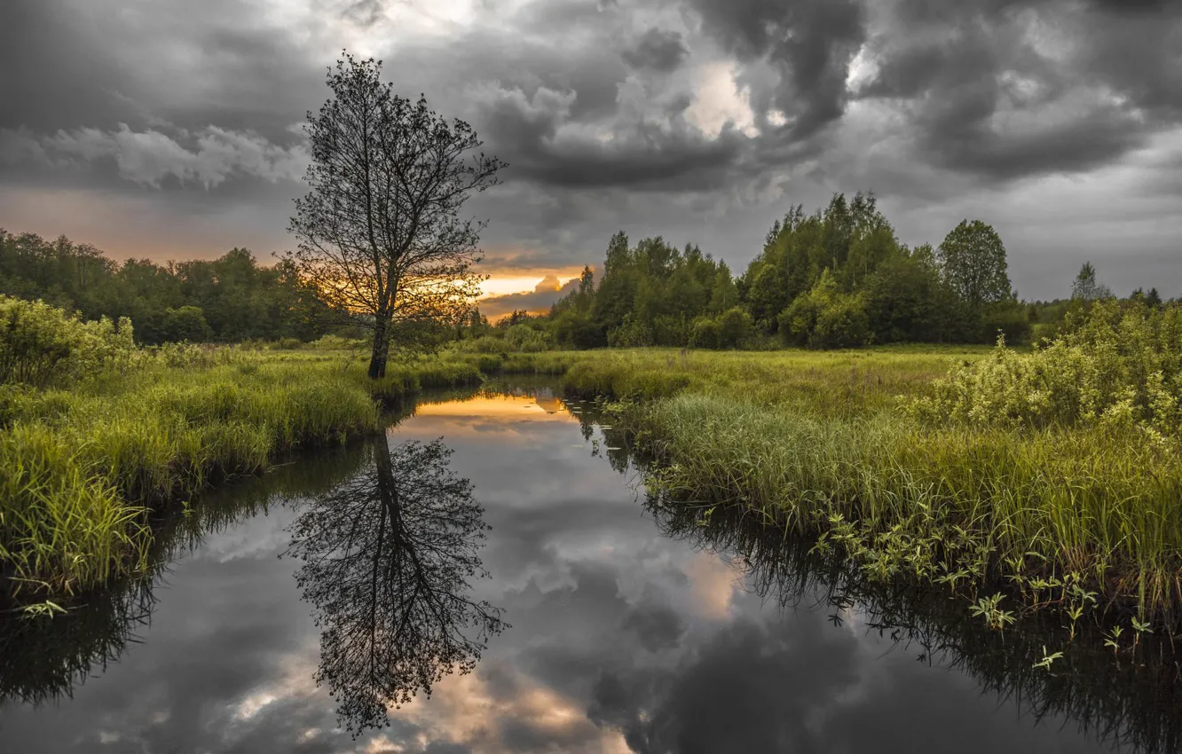 Photo wallpaper grass, landscape, clouds, nature, shore, river