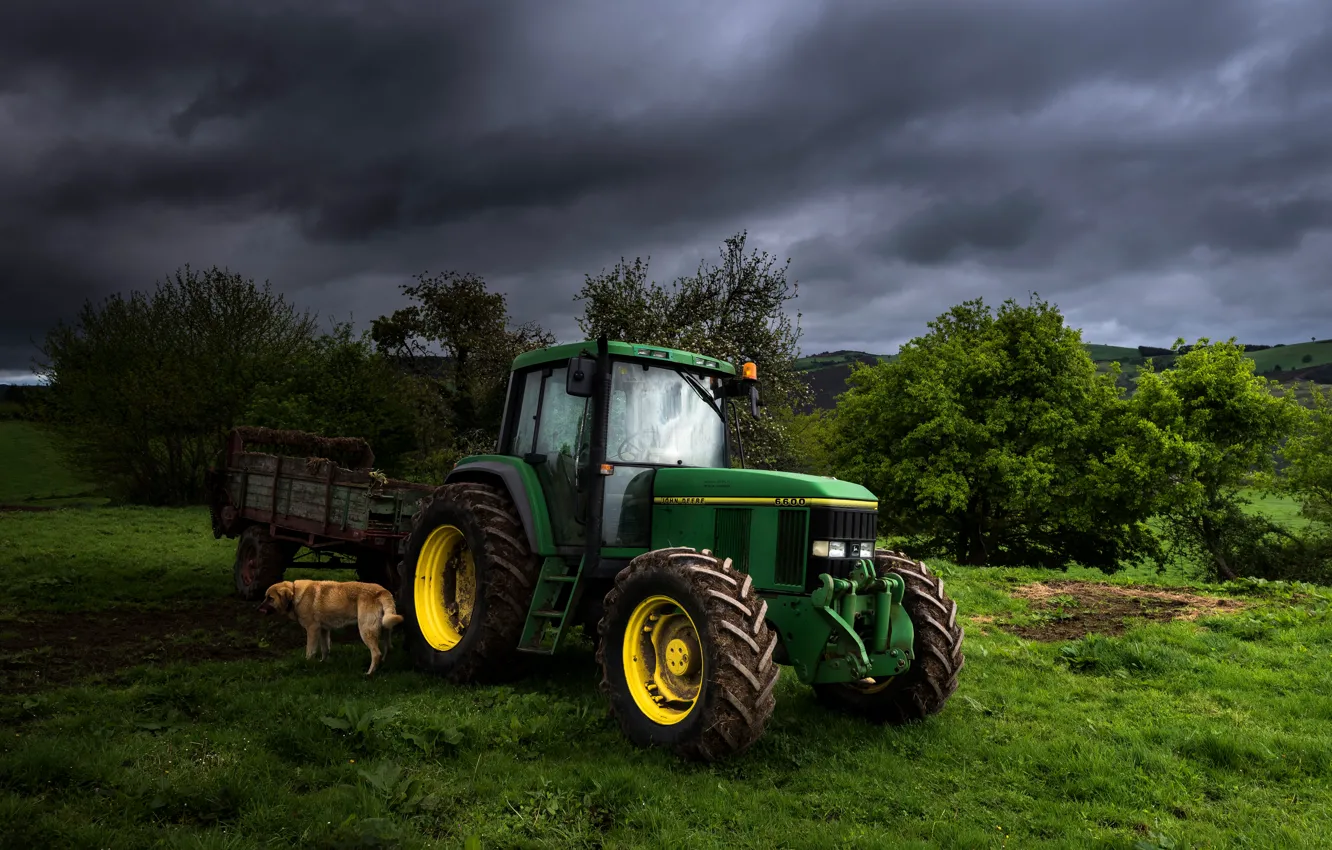 Photo wallpaper field, summer, the sky, grass, trees, clouds, green, hills