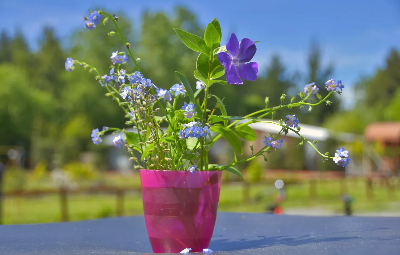 Photo wallpaper flowers, glass, a bunch