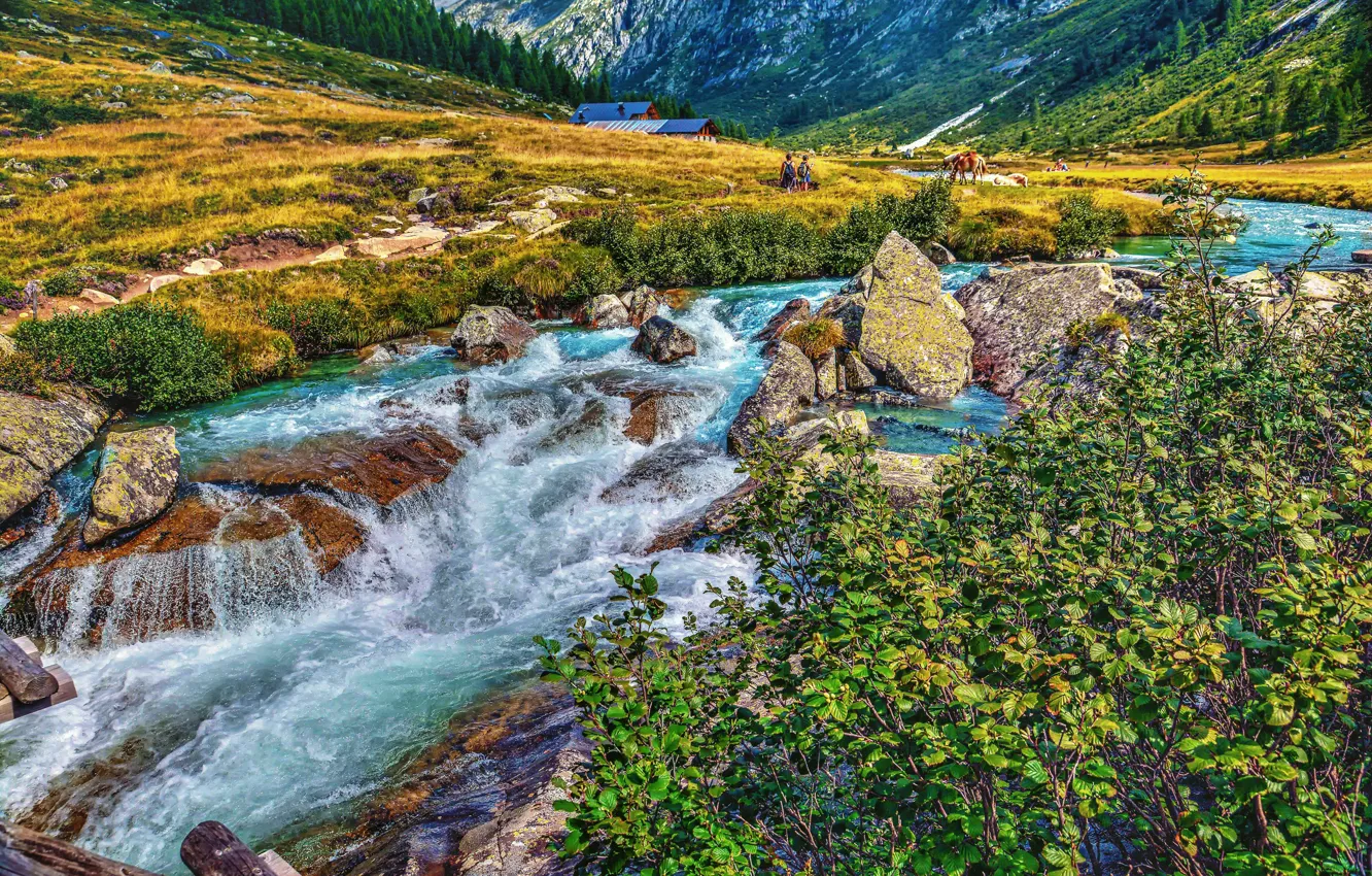 Photo wallpaper mountains, river, stones, valley, Alps, Italy, the bushes, Italy