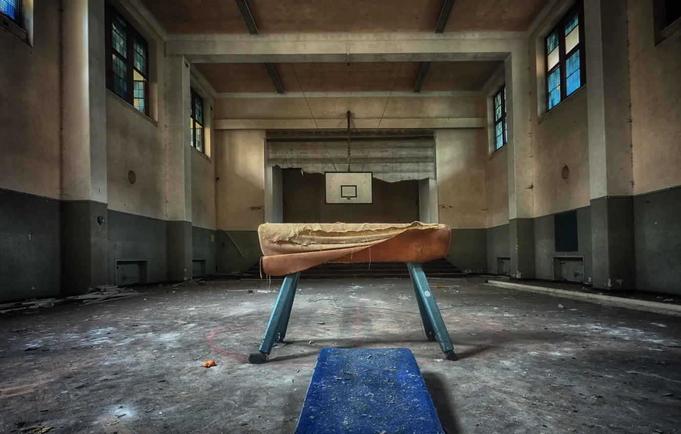 Photo wallpaper horse, sport, hall