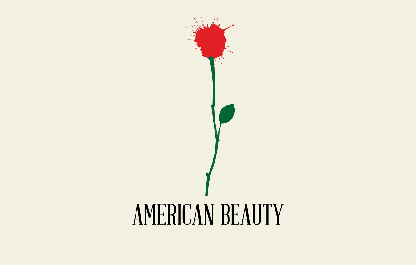 Photo wallpaper flower, minimalism, American beauty