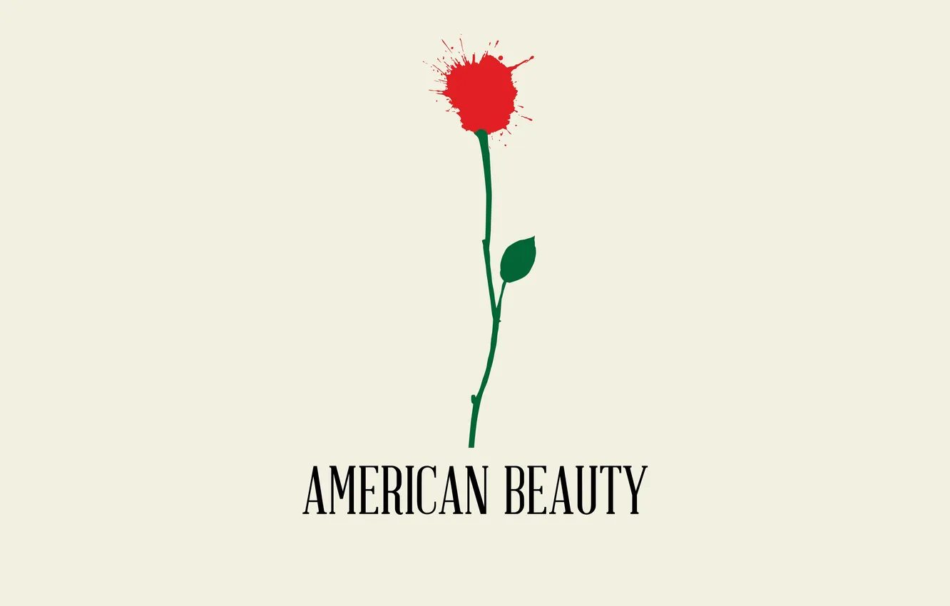 Photo wallpaper flowers, minimalism, American beauty