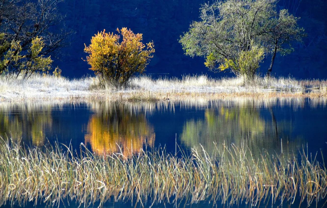 Photo wallpaper autumn, trees, lake