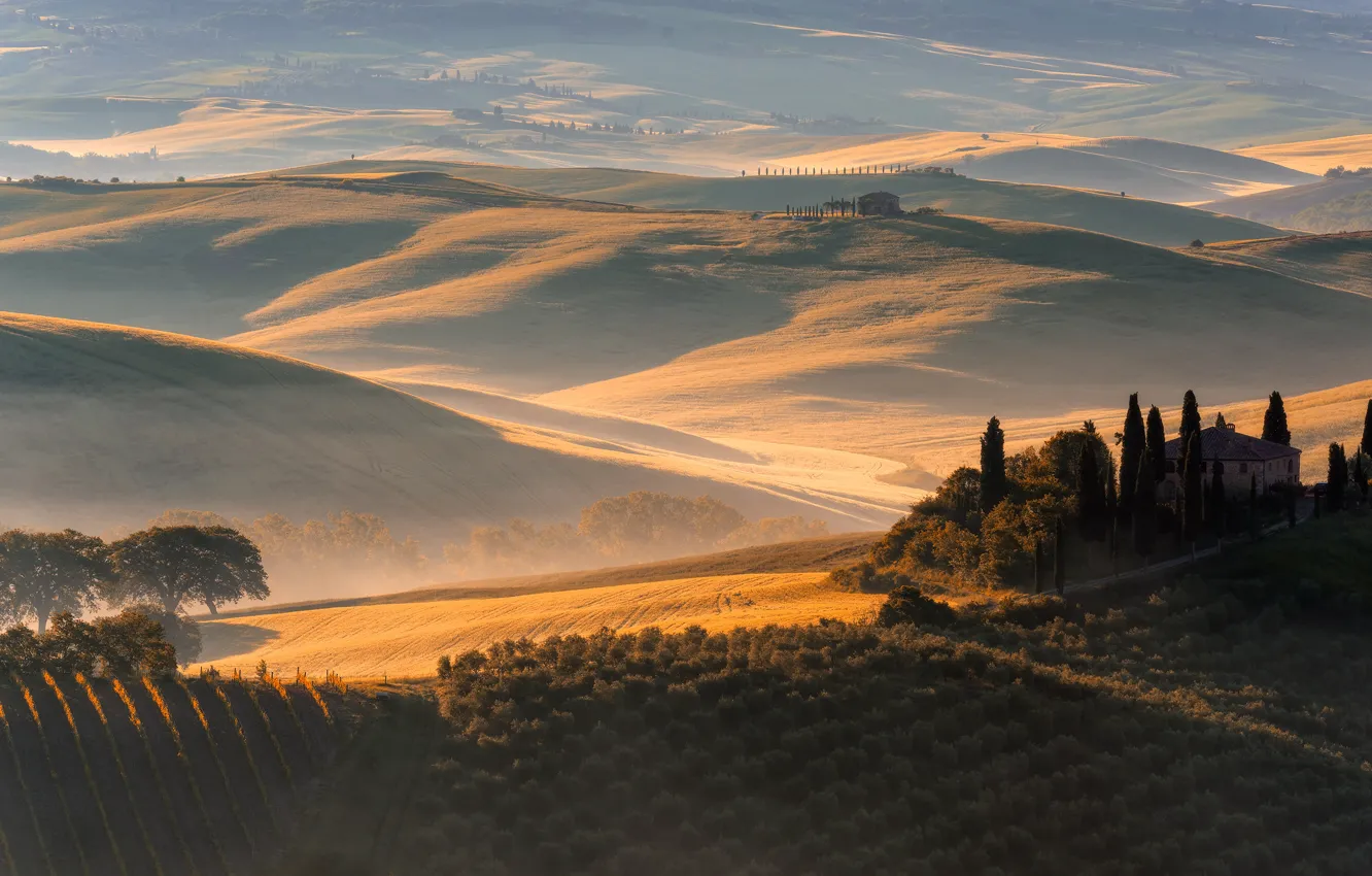 Photo wallpaper field, autumn, trees, mountains, nature, fog, hills, home