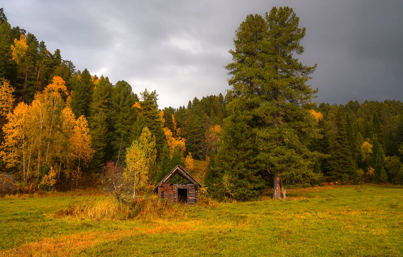 Photo wallpaper field, autumn, forest, the sky, clouds, trees, hut, beauty