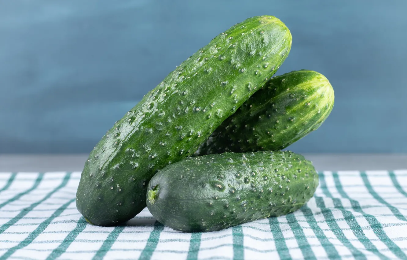 Photo wallpaper trio, fresh, cucumbers