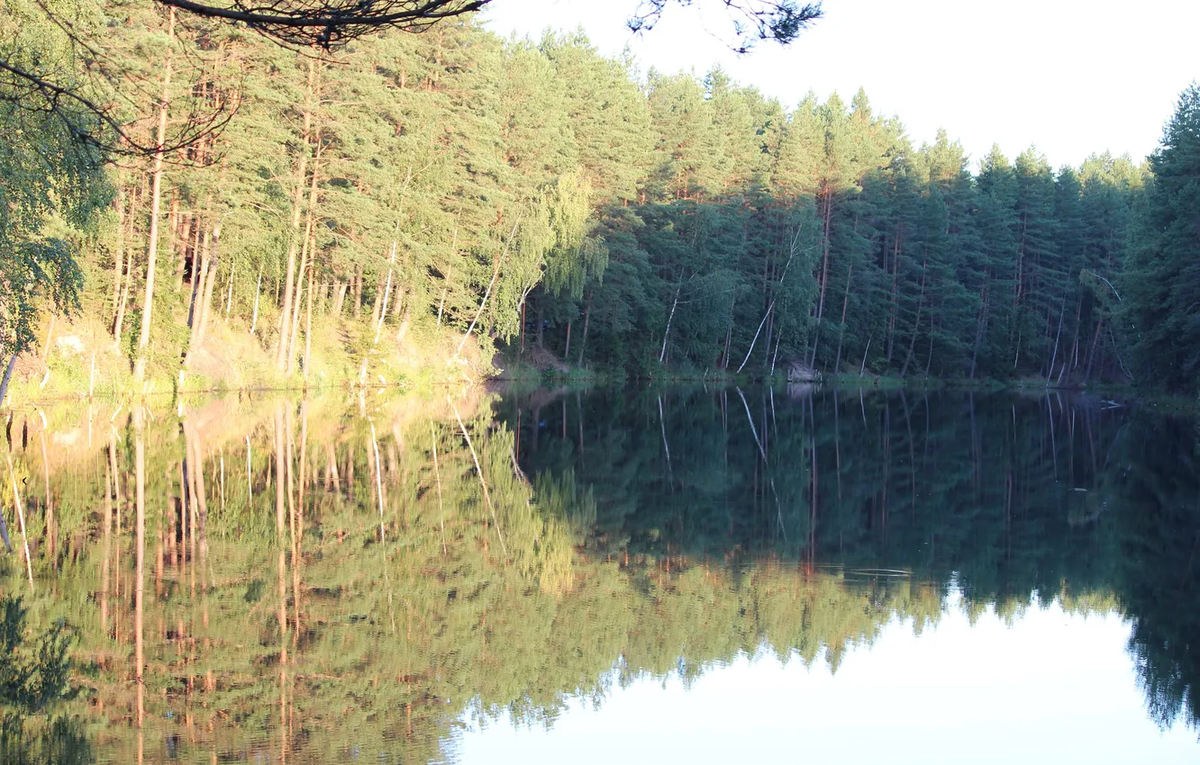 Photo wallpaper Moscow region, glassy surface, lake, forest