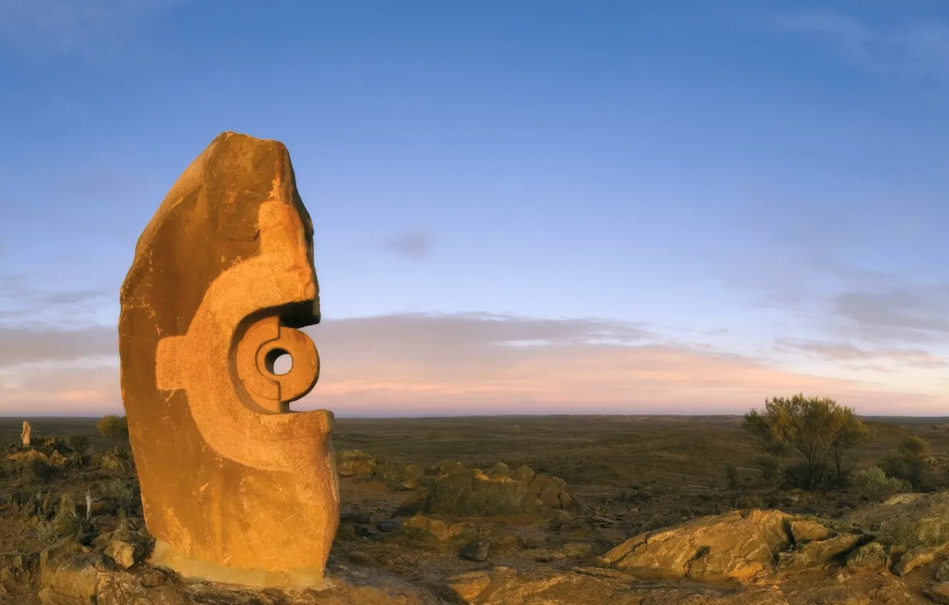 Photo wallpaper desert, options menu, scarce plants